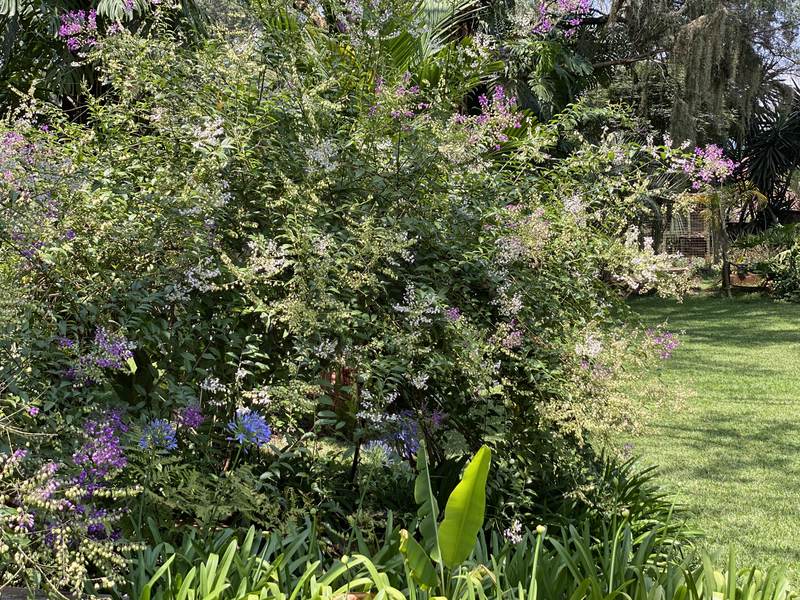 Manor on Lower Kabete - Cottage Master Bedroom
